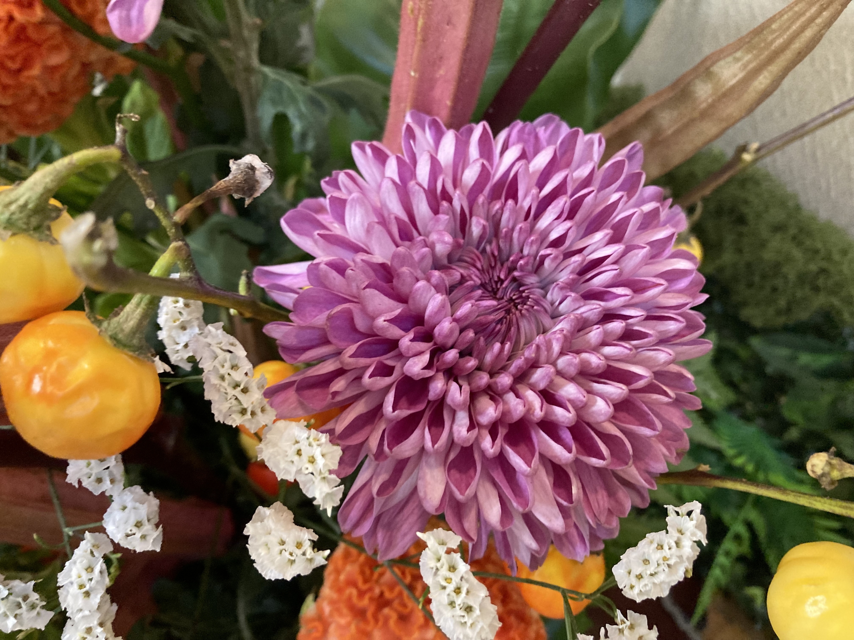 お花