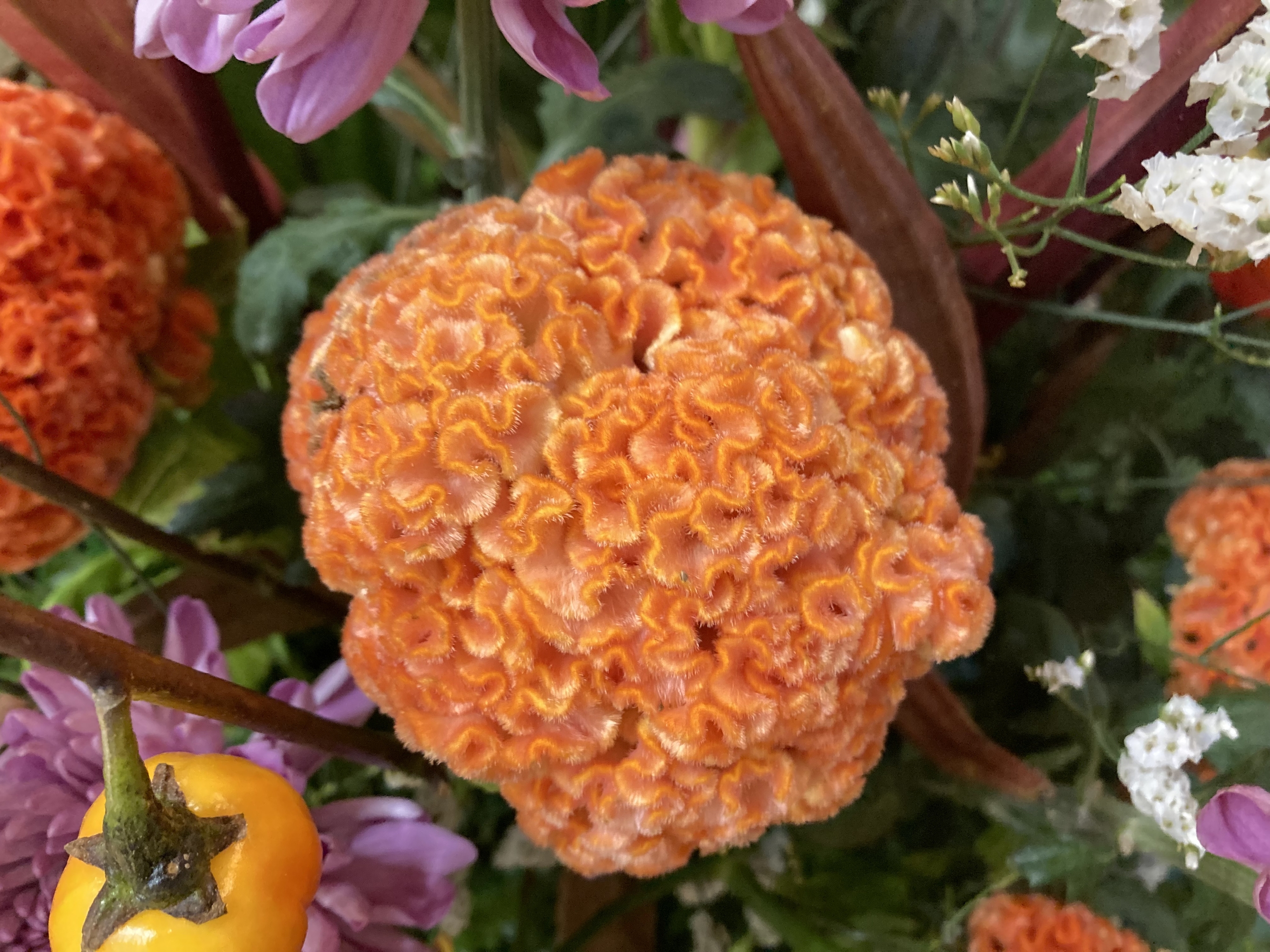 お花