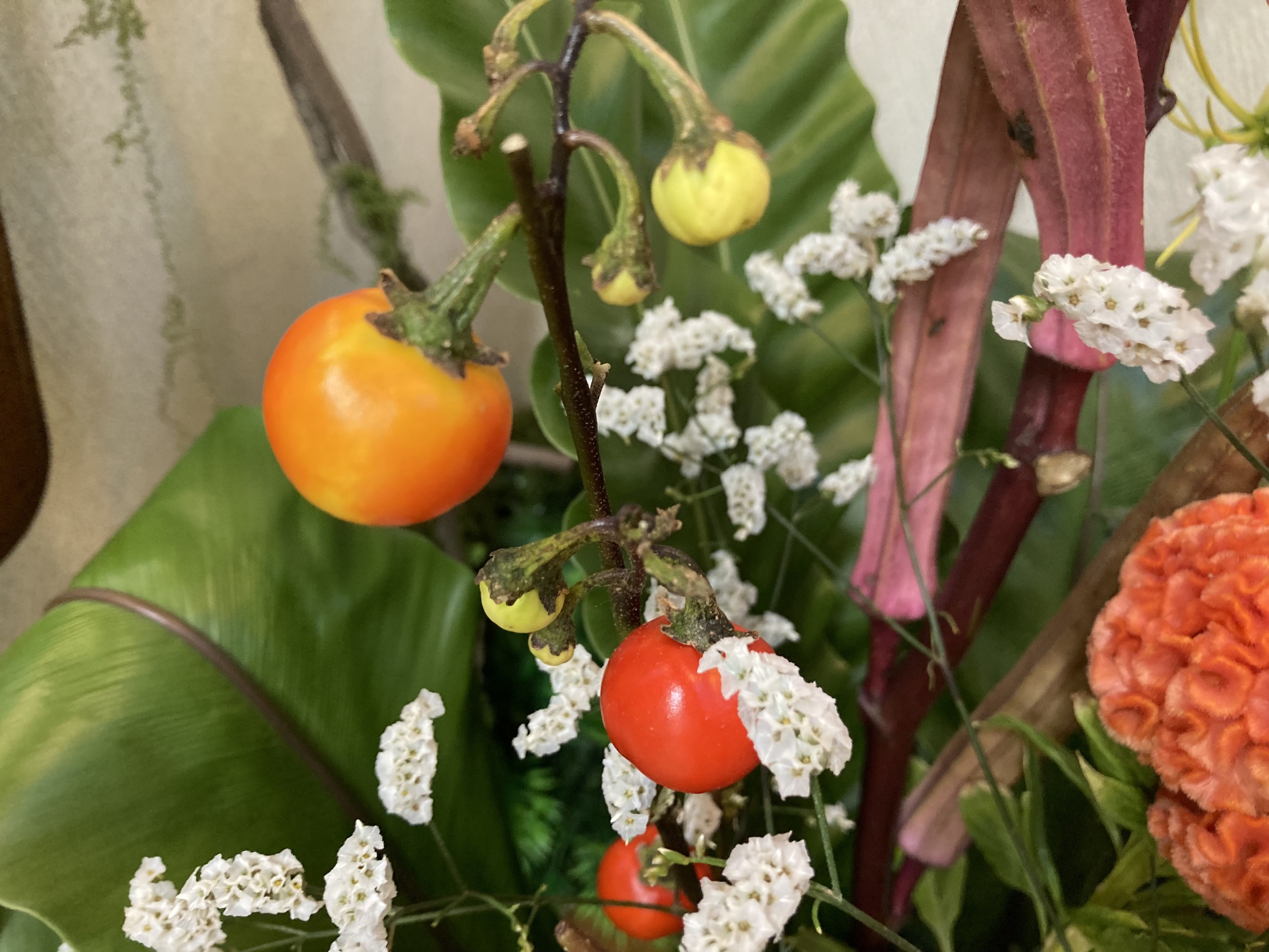 お花