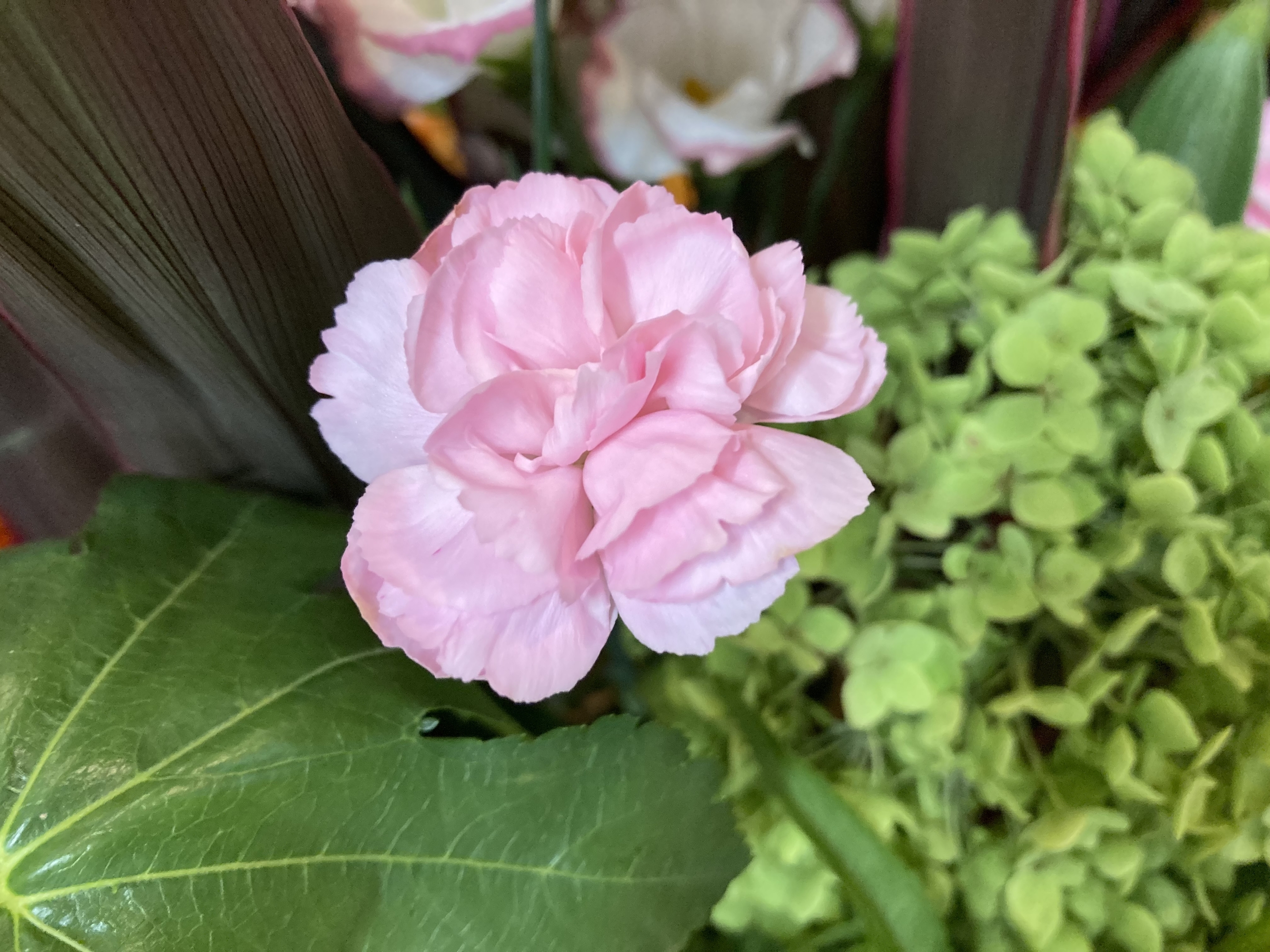 お花