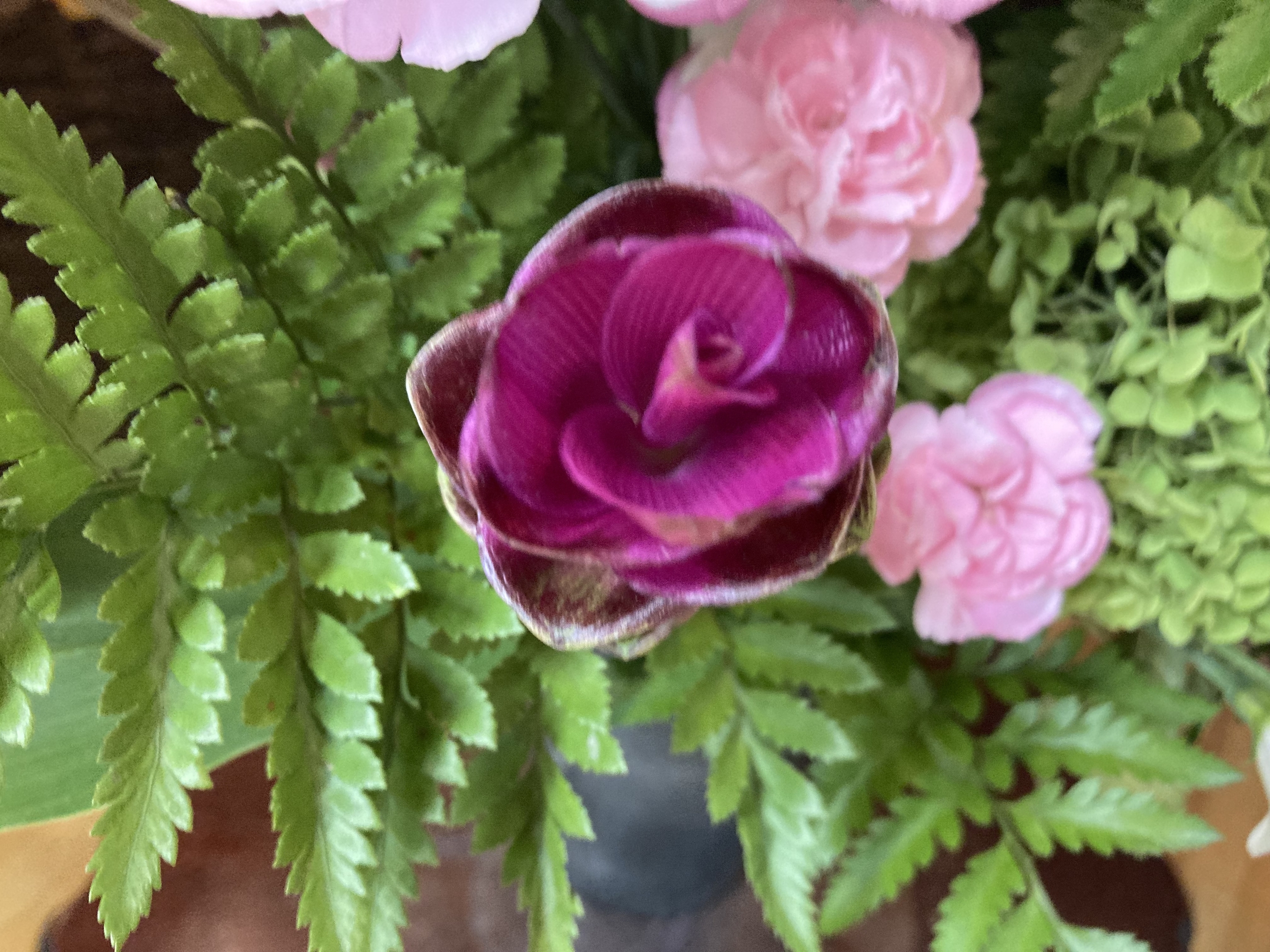 お花