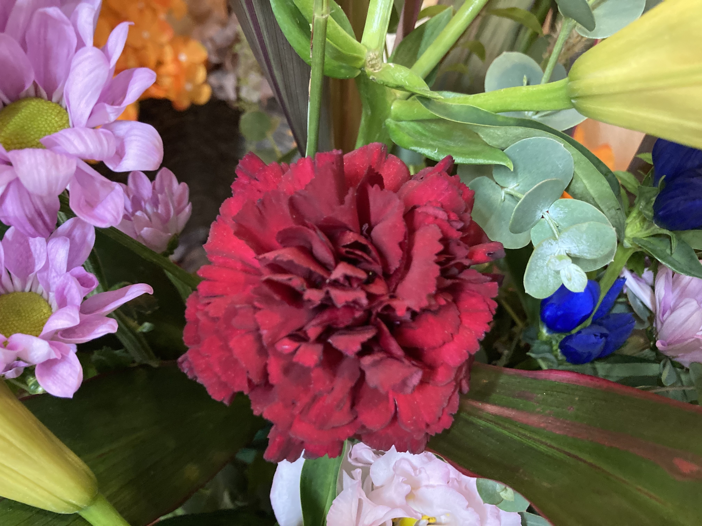 お花