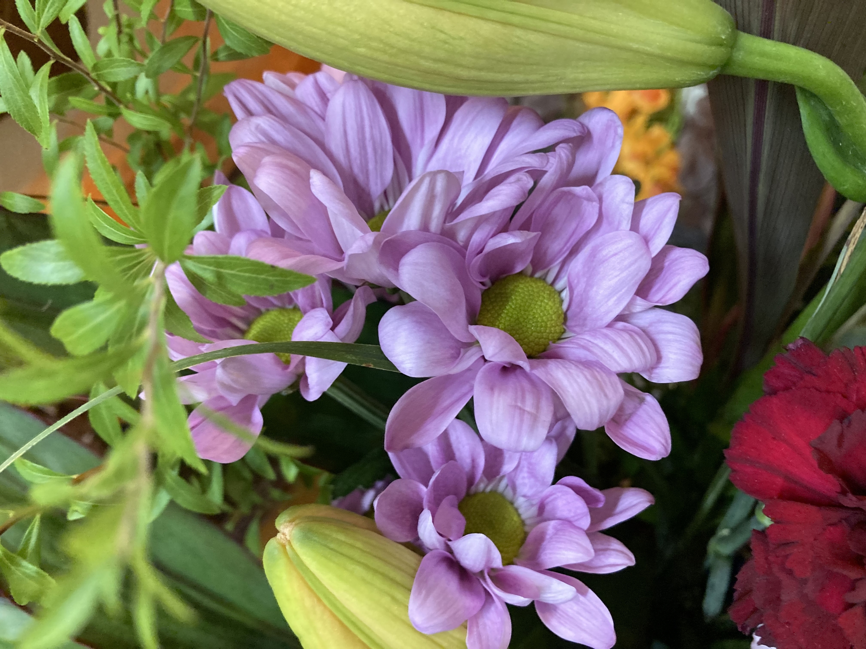 お花