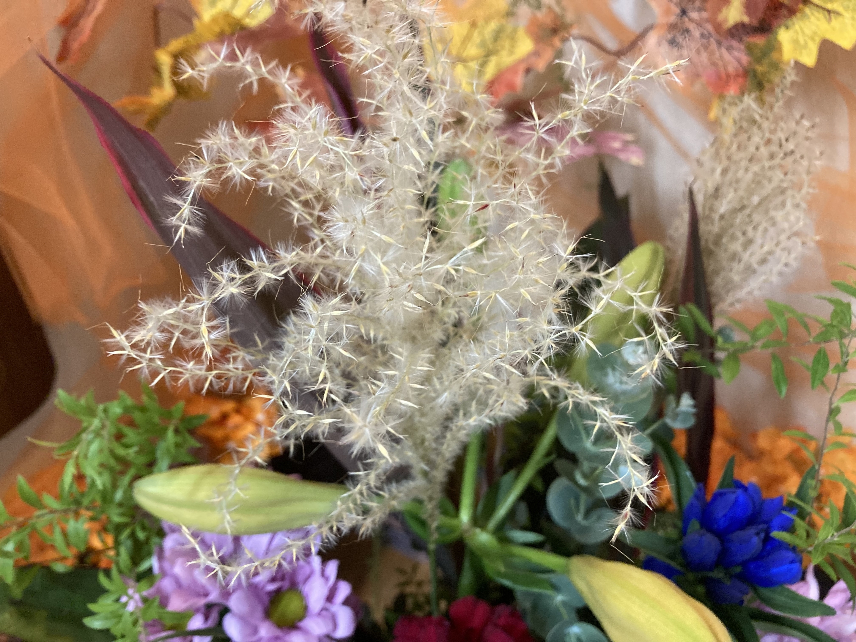 お花