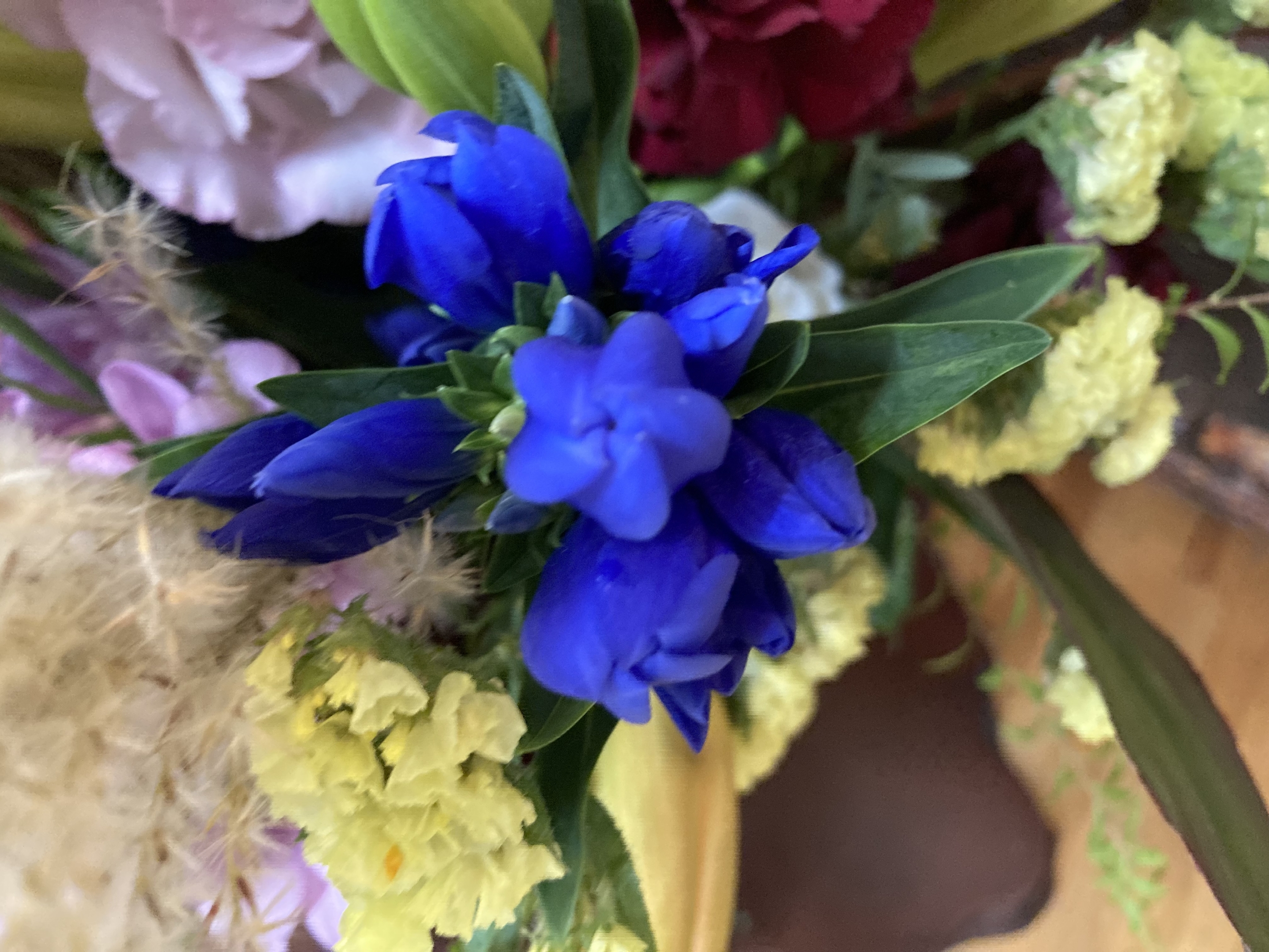 お花