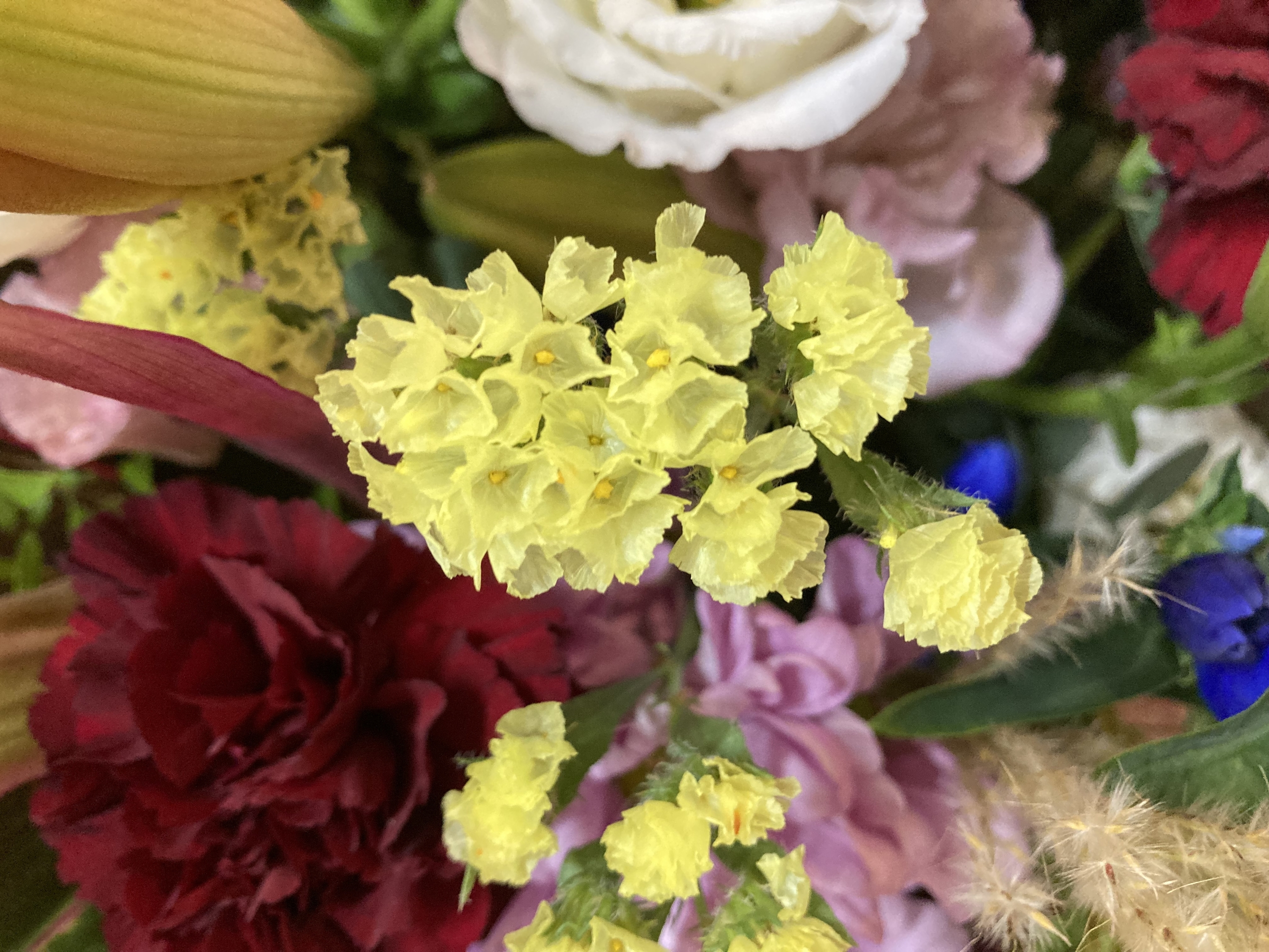 お花