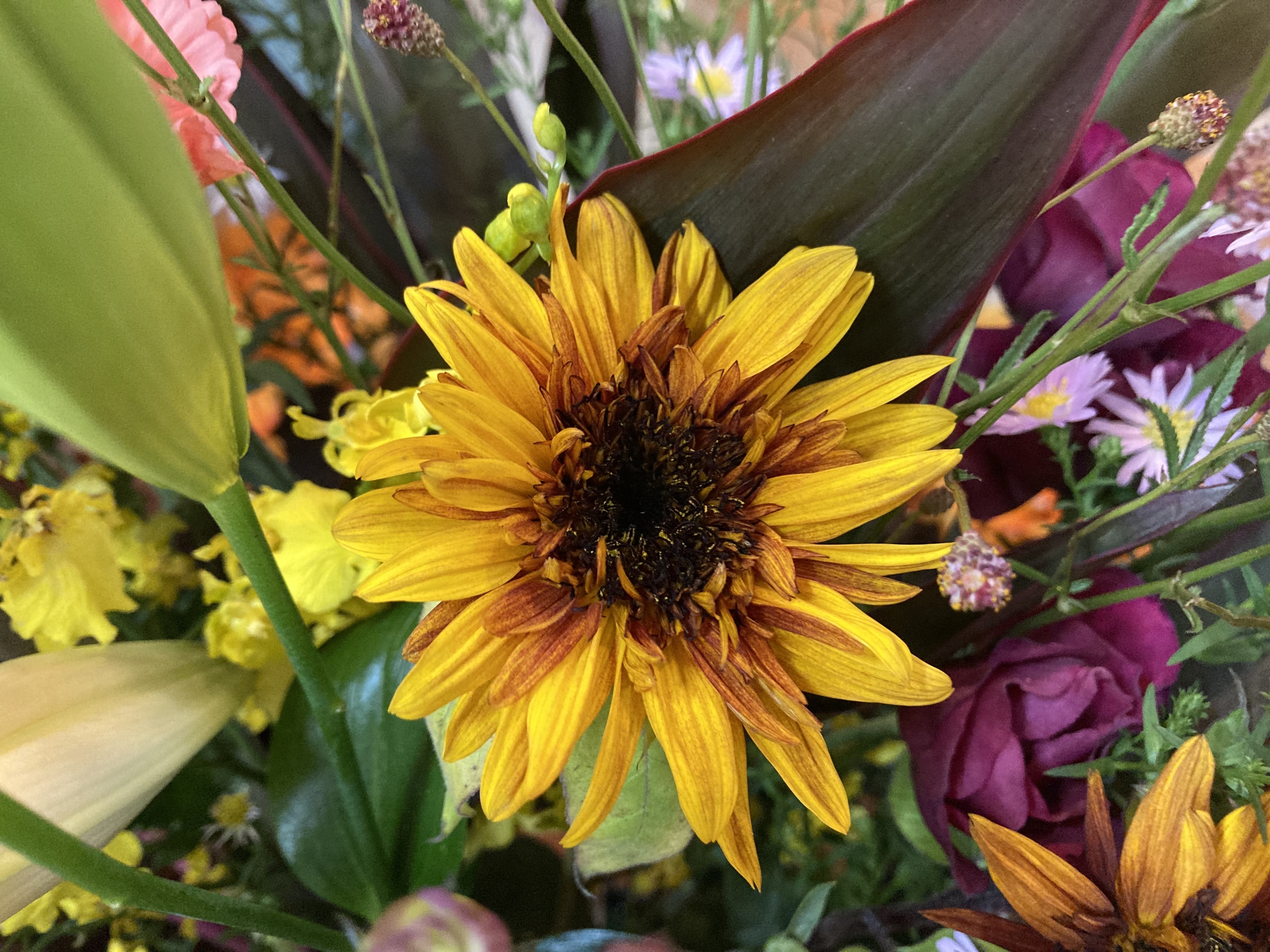 お花