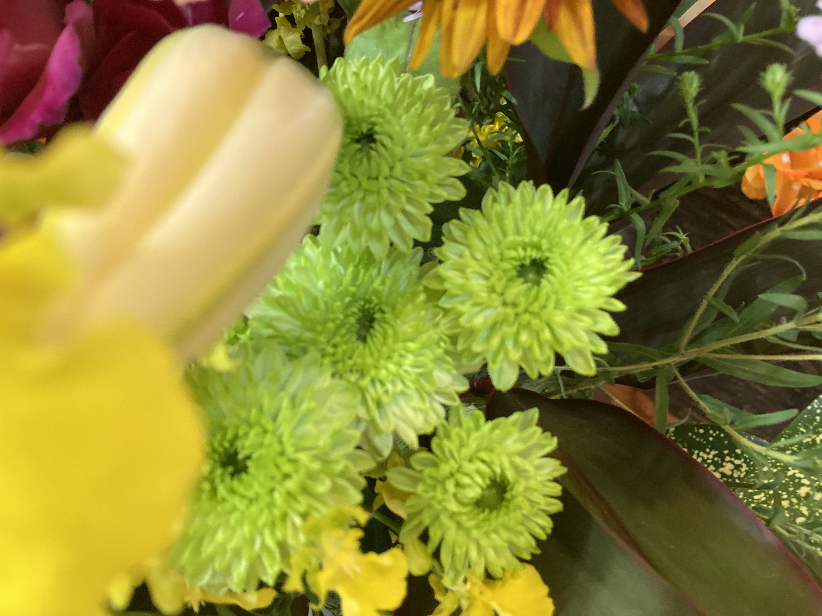 お花