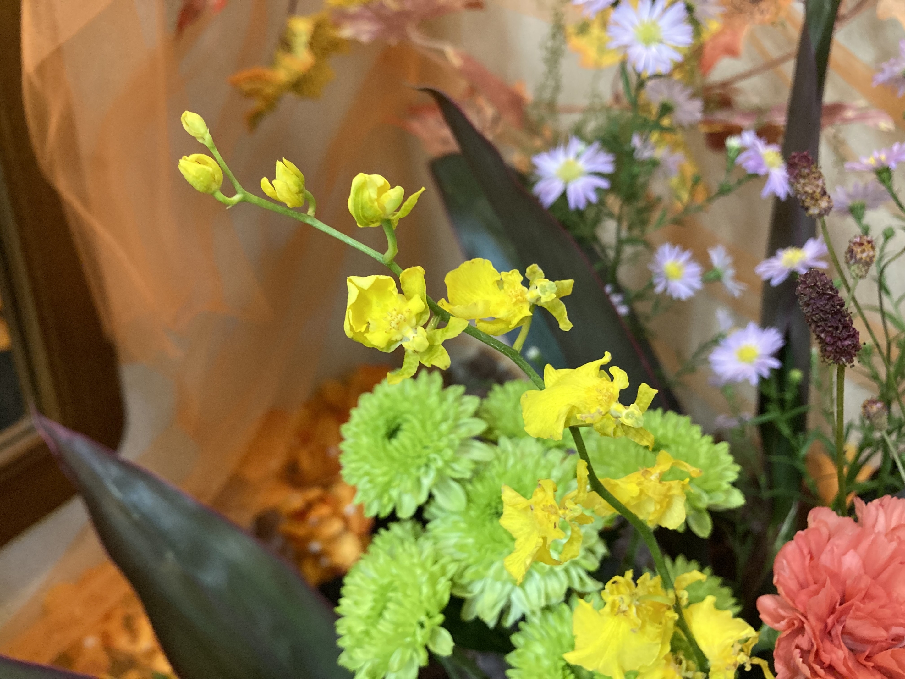 お花