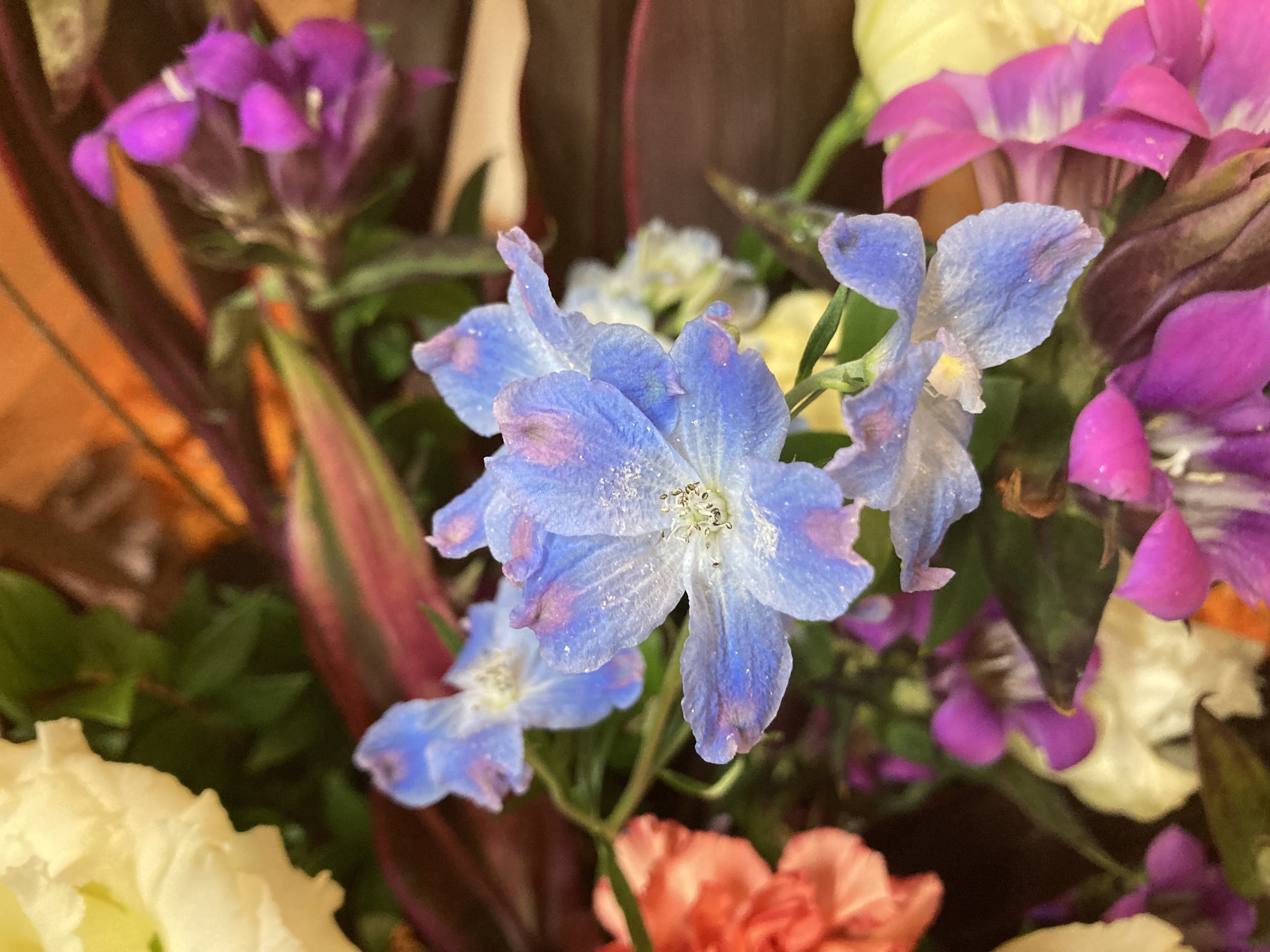 お花