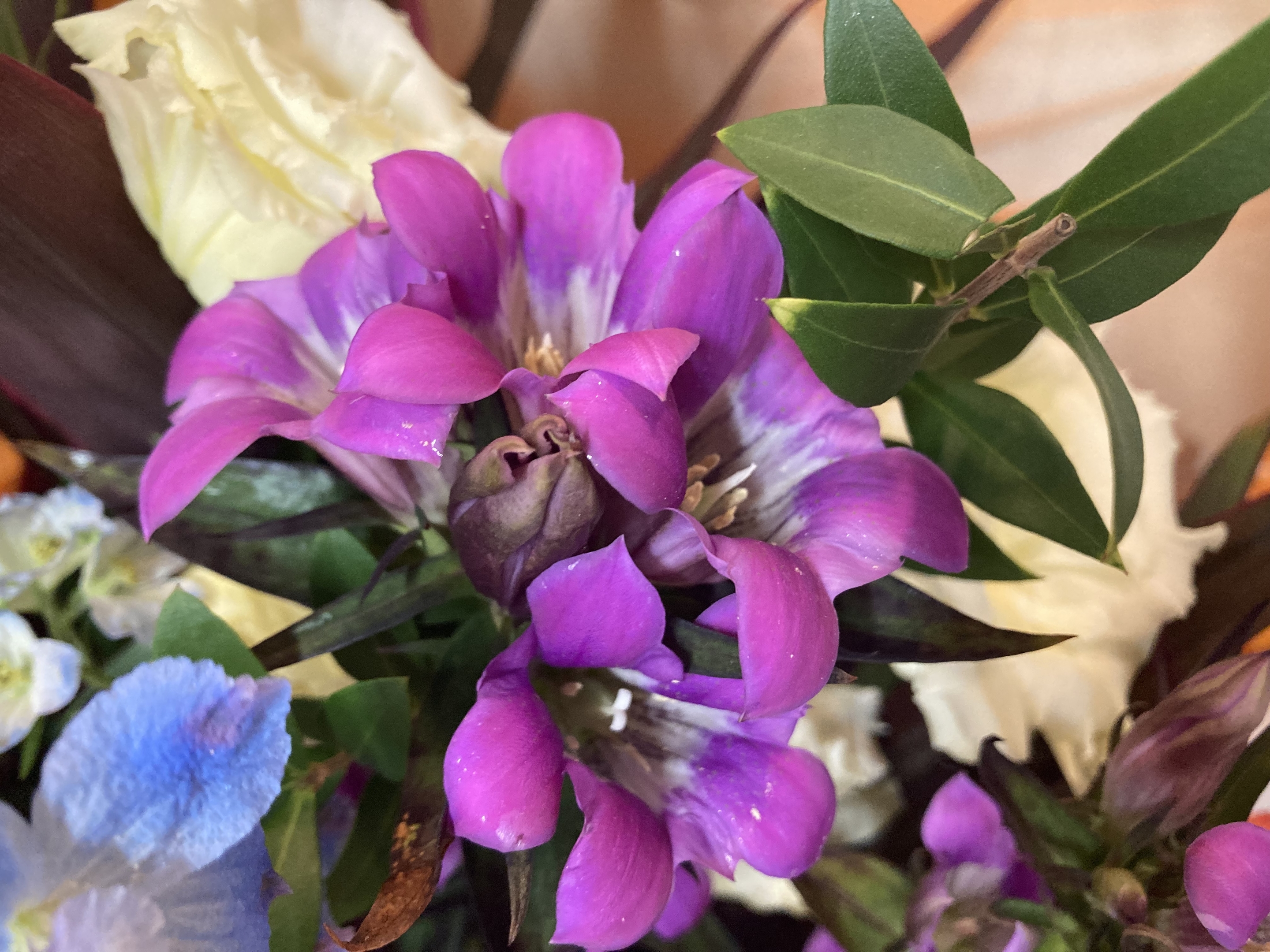 お花