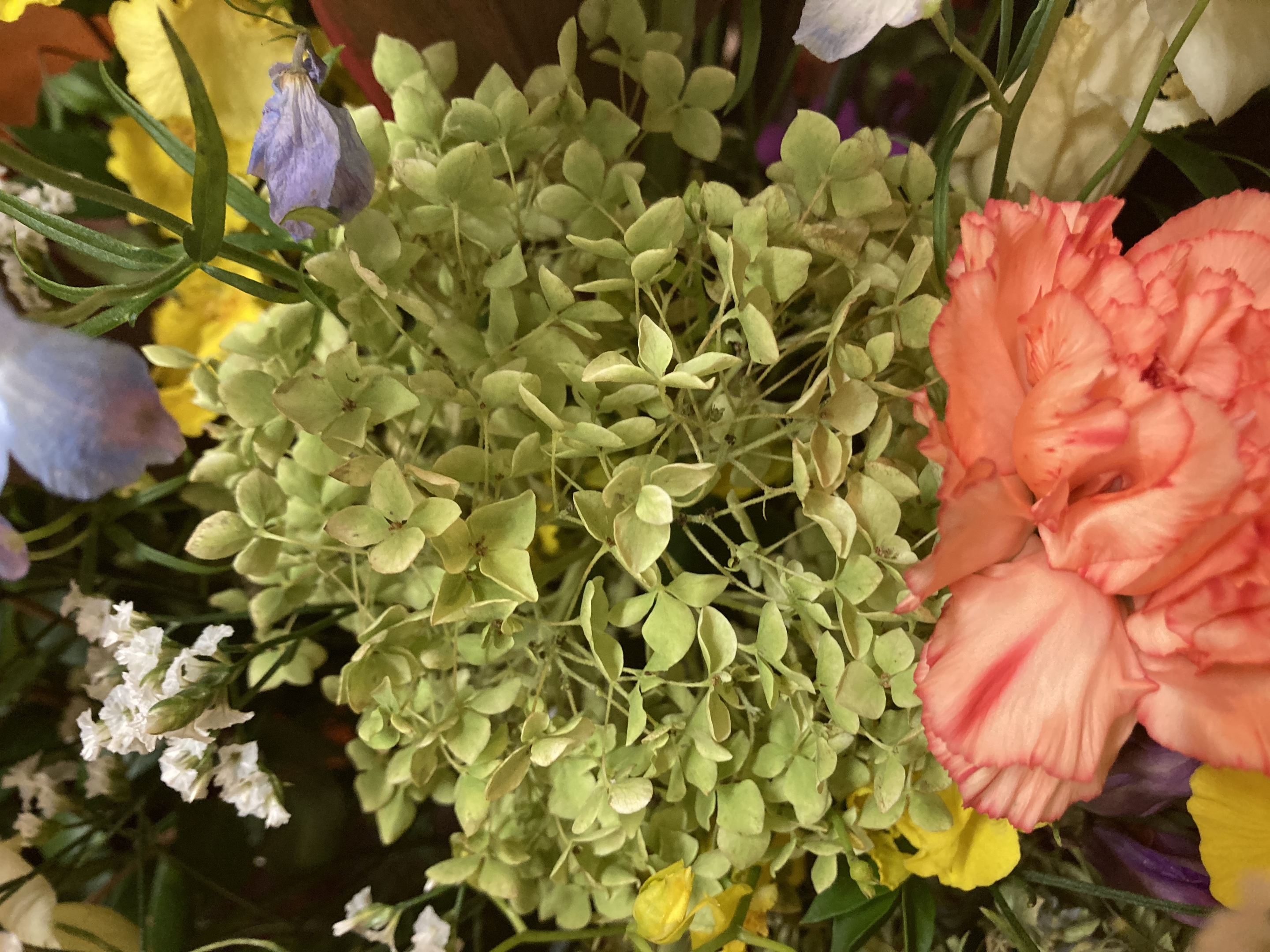 お花