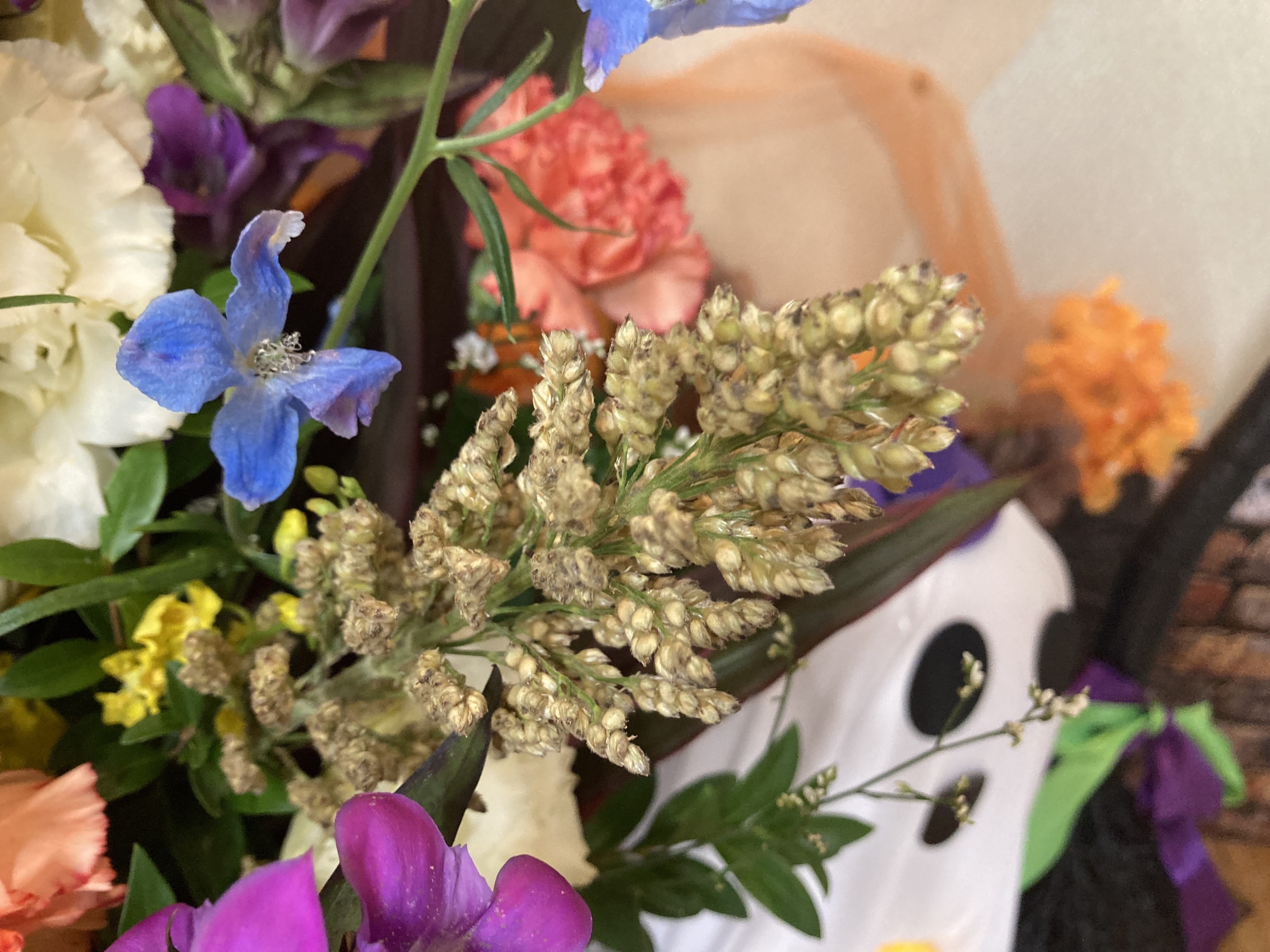 お花