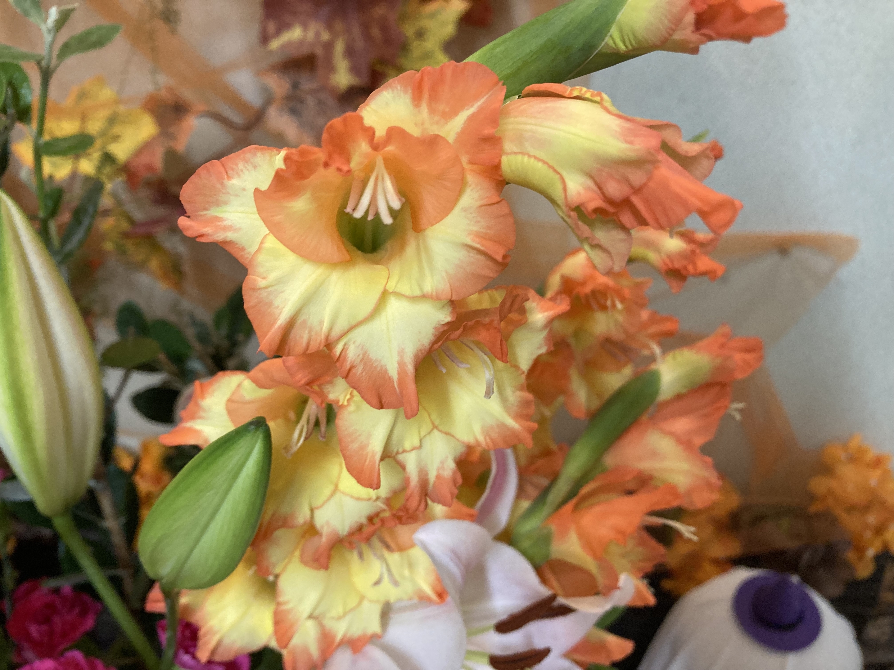 お花