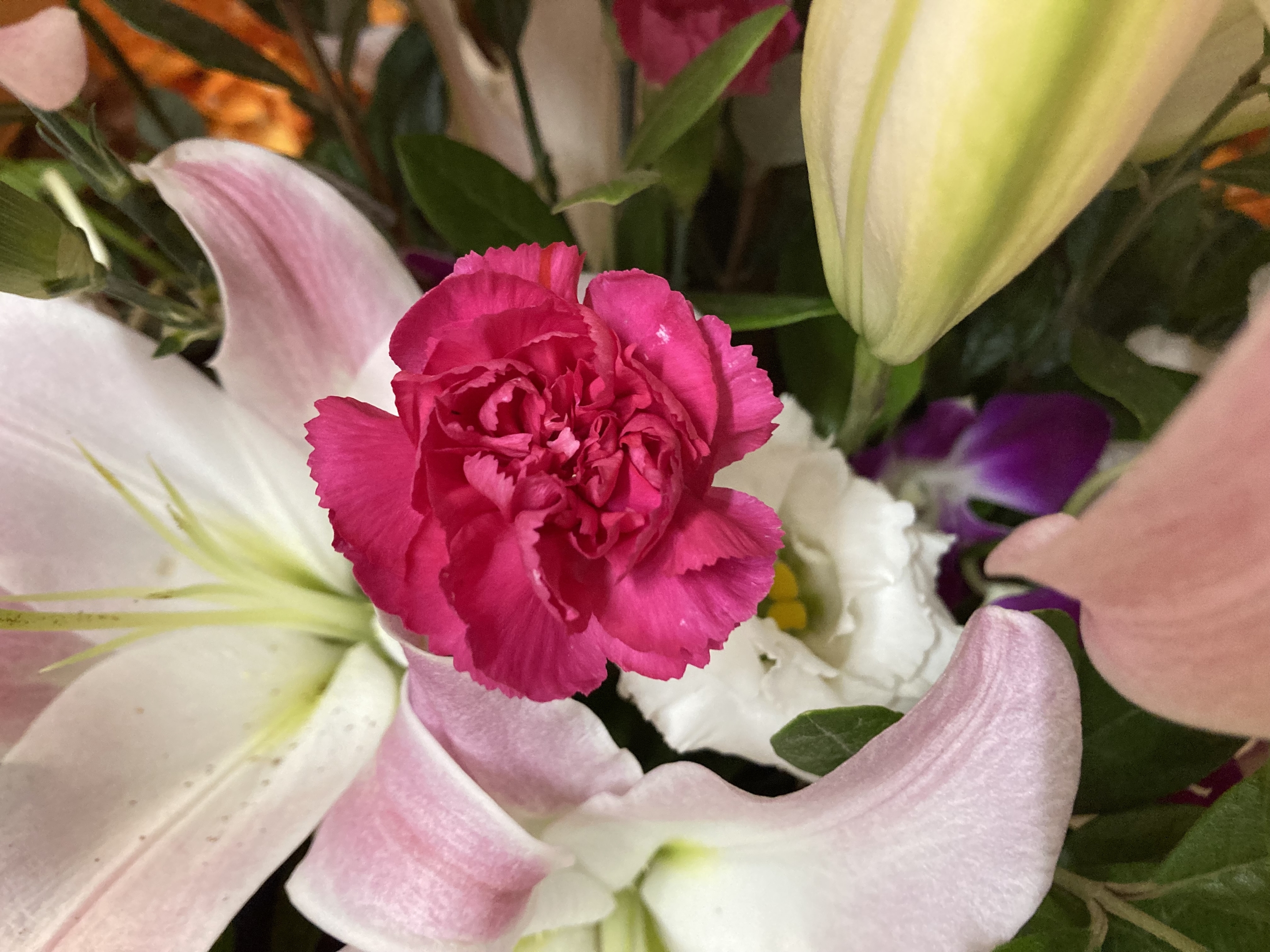 お花