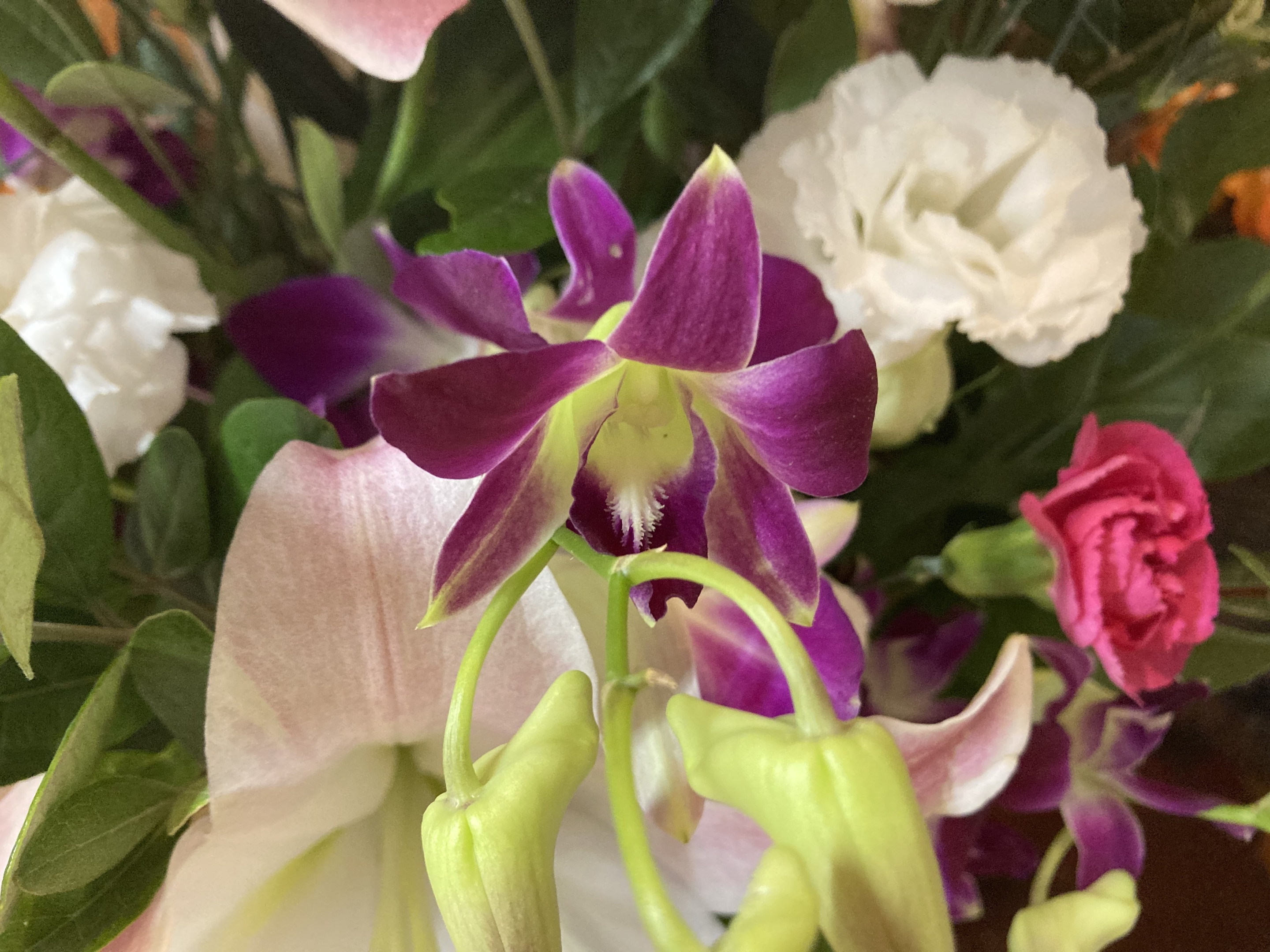 お花