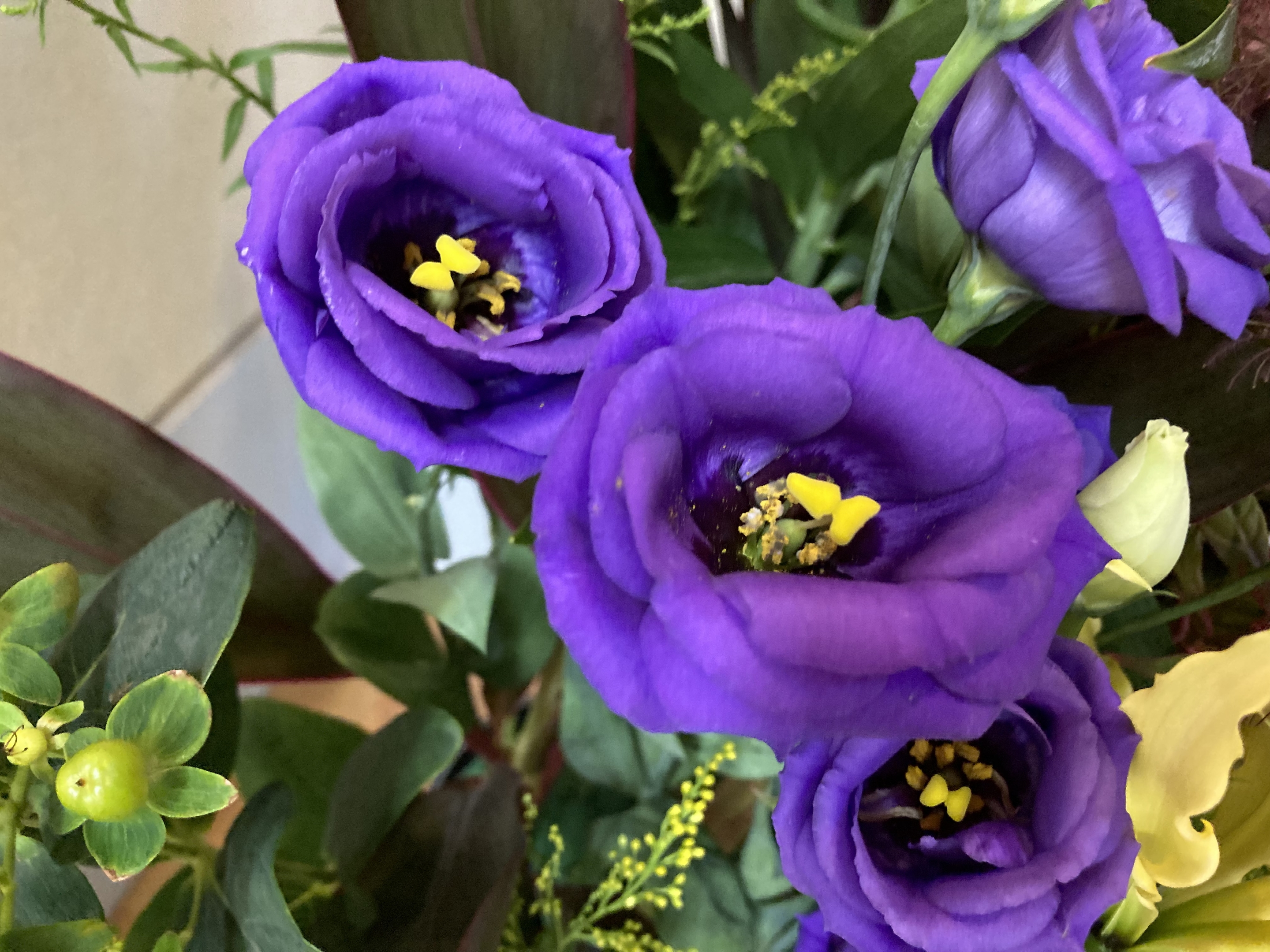 お花
